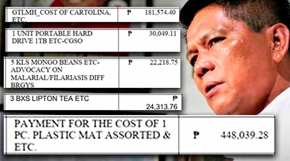 P45,000 Para sa 1 Box ng Pako? Mayor na Kaalyado ni Duterte, Viral Dahil sa COA Report